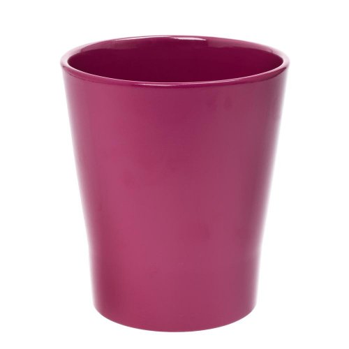 Obal orch.merina blackberry 18cm