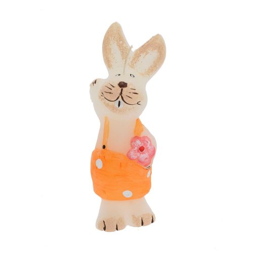 Fig.zajac s kvietkom veľky biely