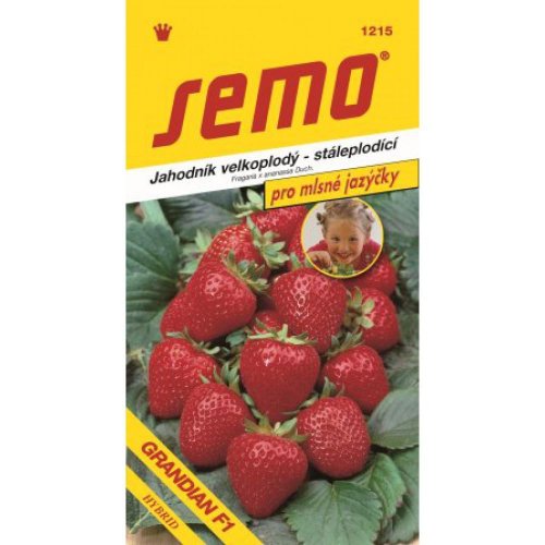Jahoda grandian f1 12s