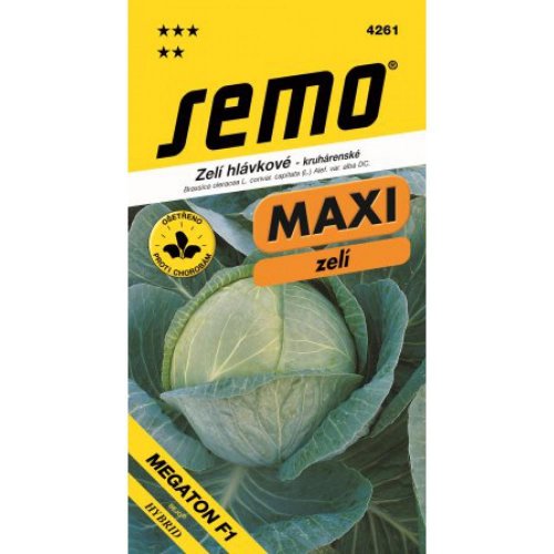 Kapusta nesk. megaton f1 20s