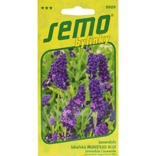Levanduľa munstead blue 0,4g - Vianočné stromčeky