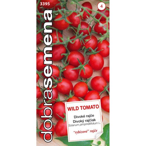 Divoký rajčiak wild tomato 40s