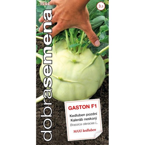 Kaleráb neskorý gaston f1 40s