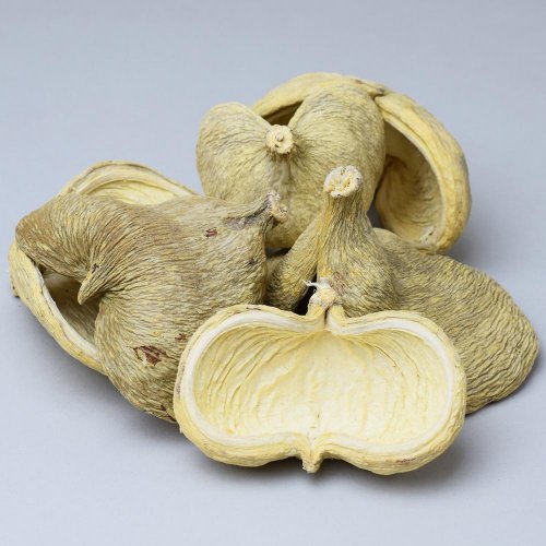 Badam bielený s/6 i011wpacz