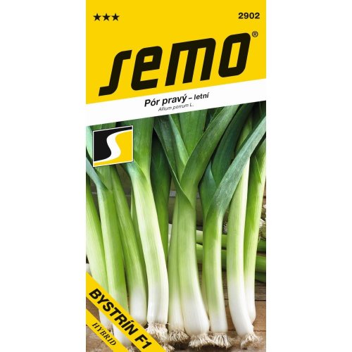 Pór pestovaný bystrín f1 2g - Vianočné dekorácie a ozdoby