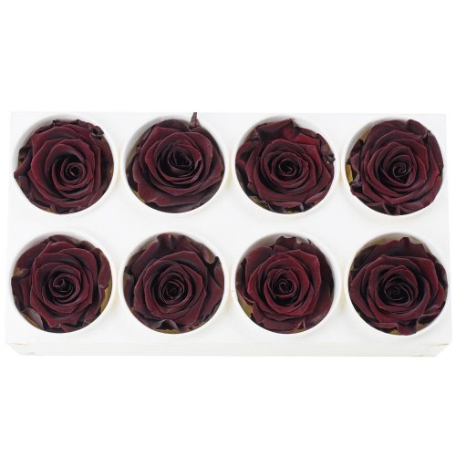 Ruža preparovaná 5cm burgundy /ks