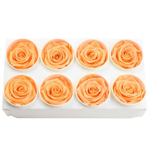 Ruža preparovaná 5cm perfect peach /ks - bal. 8 ks