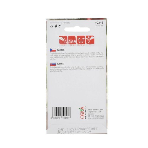 Karfiol jesenný 0,4g - Vianočné dekorácie