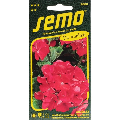 Pelargonium zonale červený 0,05g