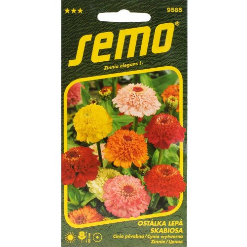 Cínia scabiosa 0,6g