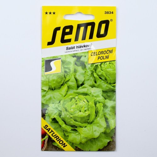 Šalát hlav. saturion 0,6g - Umelé kvety