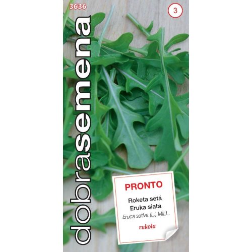 Roketa siata pronto 3g