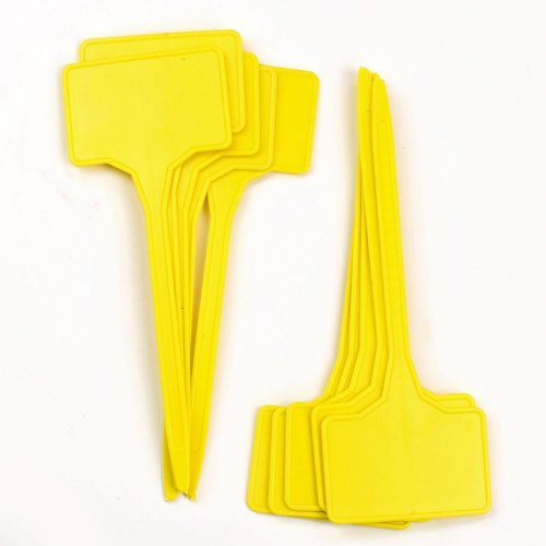 Menovka zapich. s/10