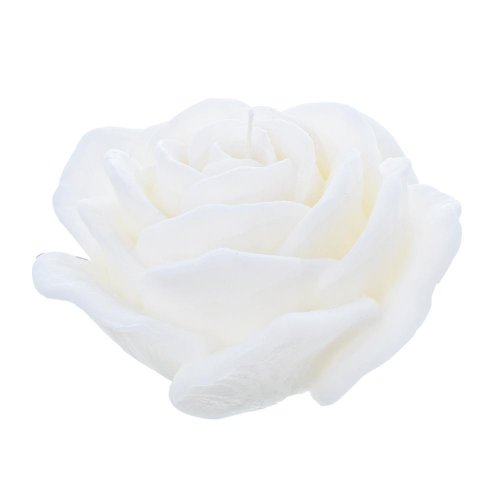 Ruža velvet krém 120x70