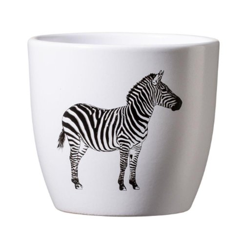 Obal safari zebra 10cm