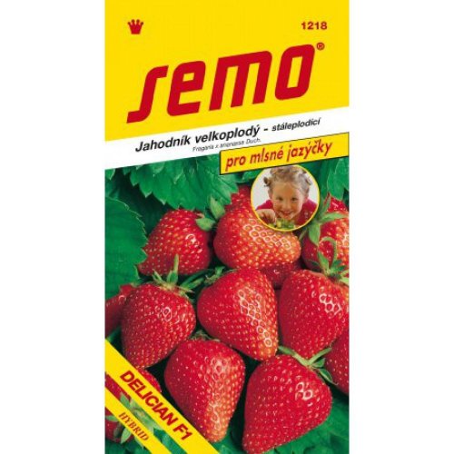 Jahoda delician f1 12s