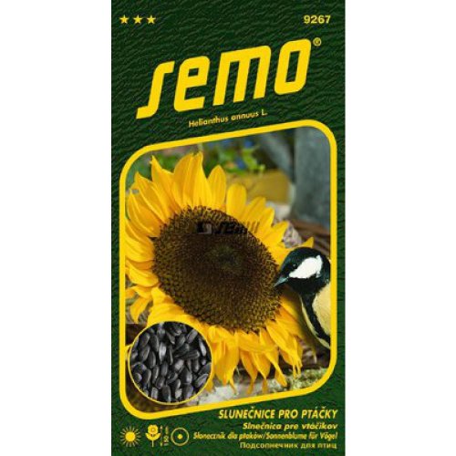 Slnečnica pre vtáky 2g