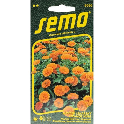 Nechtík orange - king 1g - Vianočné stromčeky