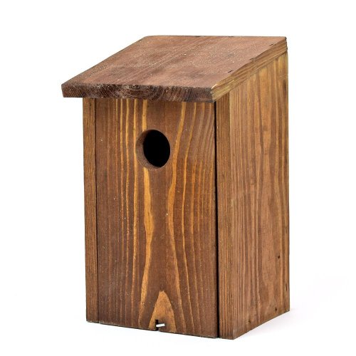 Tb08.br búdka breza v30cm