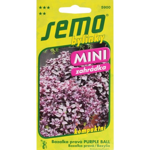 Bazalka purple ball 20s