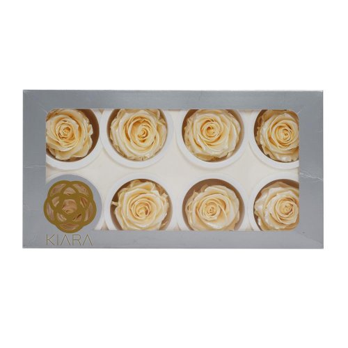 Ruža preparovaná satin pearl 5cmx8/ks