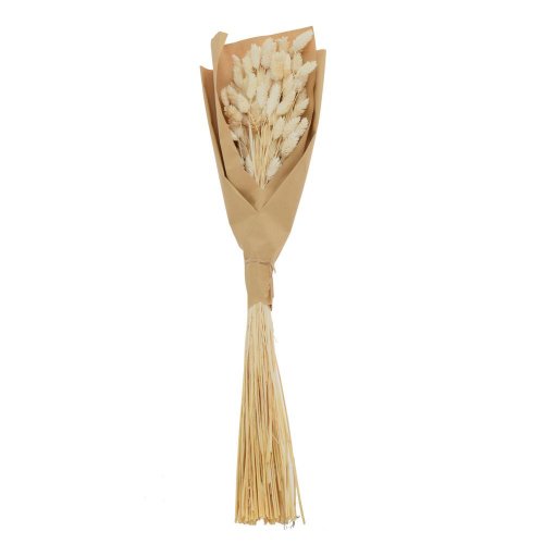 Lagurus sušina biela - Umelé kvety