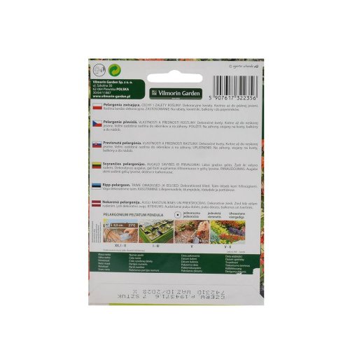 Pelargonia previslá červená 7ks