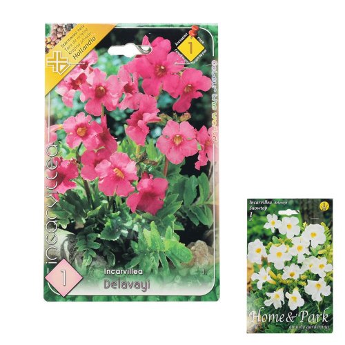 Incarvillea mix - Umelé kvety