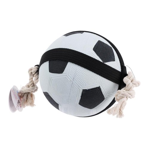 Hračka pre psov lopta 19cm 491014120