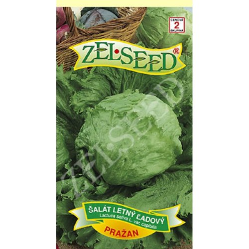 Šalát ľadový pražan 0,70g