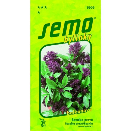 Bazalka siam queen balkon 0,3g