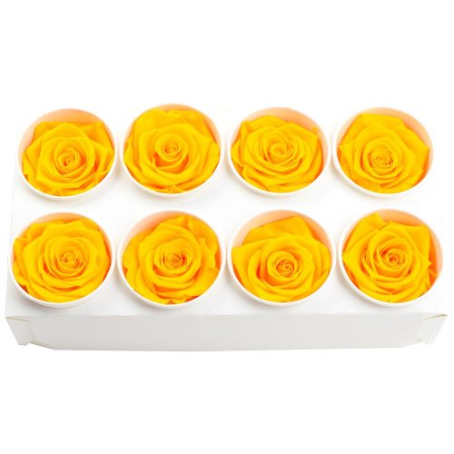 Ruža preparovaná 5cm sunny yellow /ks - bal. 8 ks