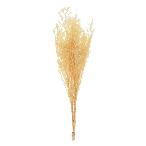 Limonka sušina biela