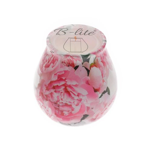 Antimoskyto v skle s72s-01 120gr