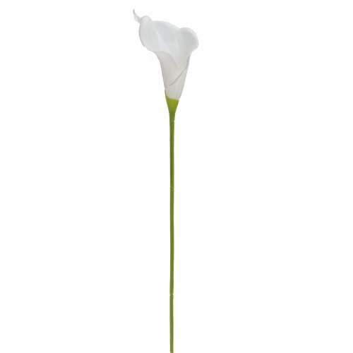 Ks calla biela 70cm
