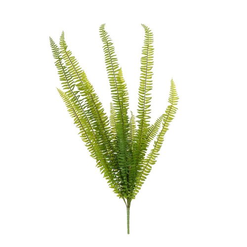 Zeleň papraď- nephrolepsis 90cm