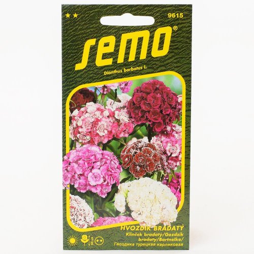 Klinček bradatý zmes 0,5g - Vianočné stromčeky