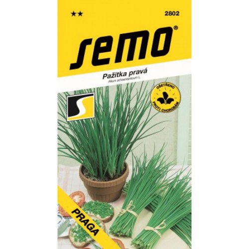 Pažítka pravá pražská 1,8g