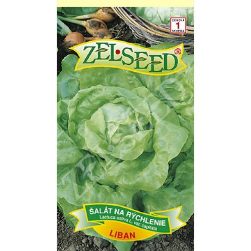 Šalát na rýchl liban 0,70g - Vianočné osvetlenie