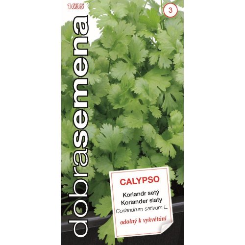 Koriander siaty calypso 2g