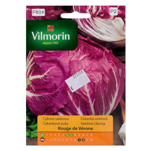 Čakanka šalátová rouge de verone 0,5g