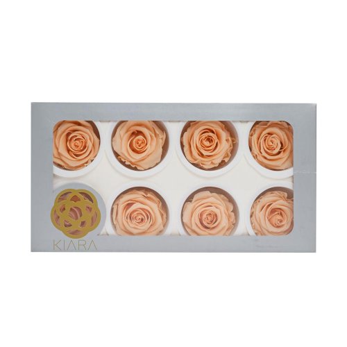 Ruža preparovaná 5cm cantaloupe /bal.8ks