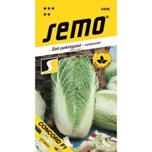 Kapusta pekinská concord f1 50s