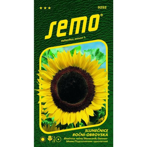 Slnečnica ročná obrovská 2g