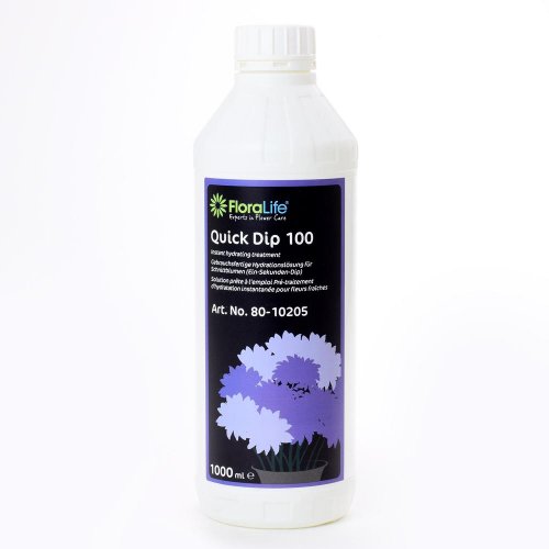 Oasis floralife quick dip 1l