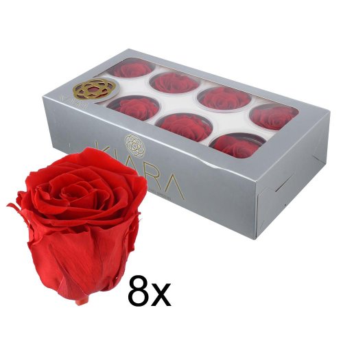 Ruža preparovaná 5cm vibrant red /ks - bal. 8 ks - Vianočné dekorácie