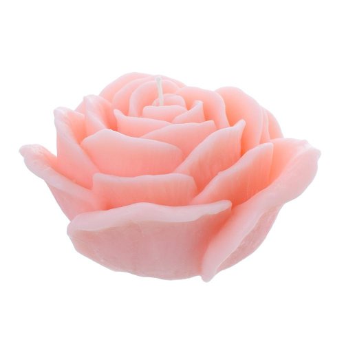 Ruža velvet ružová 120x70