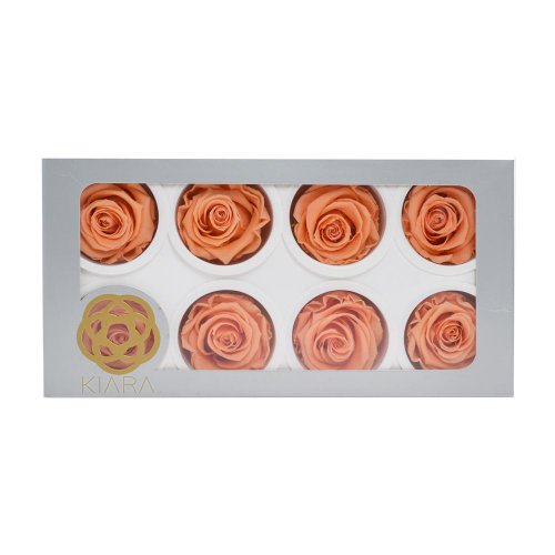 Ruža preparovaná 5cm papaya/bal. 8ks