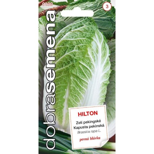 Kapusta pekingská hilton 100s