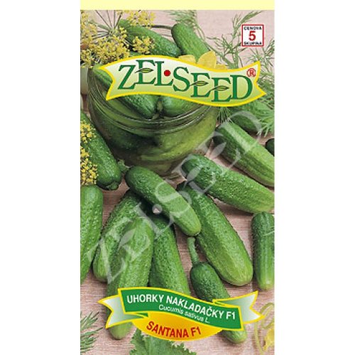 Uhorky nakl santana f1 1g